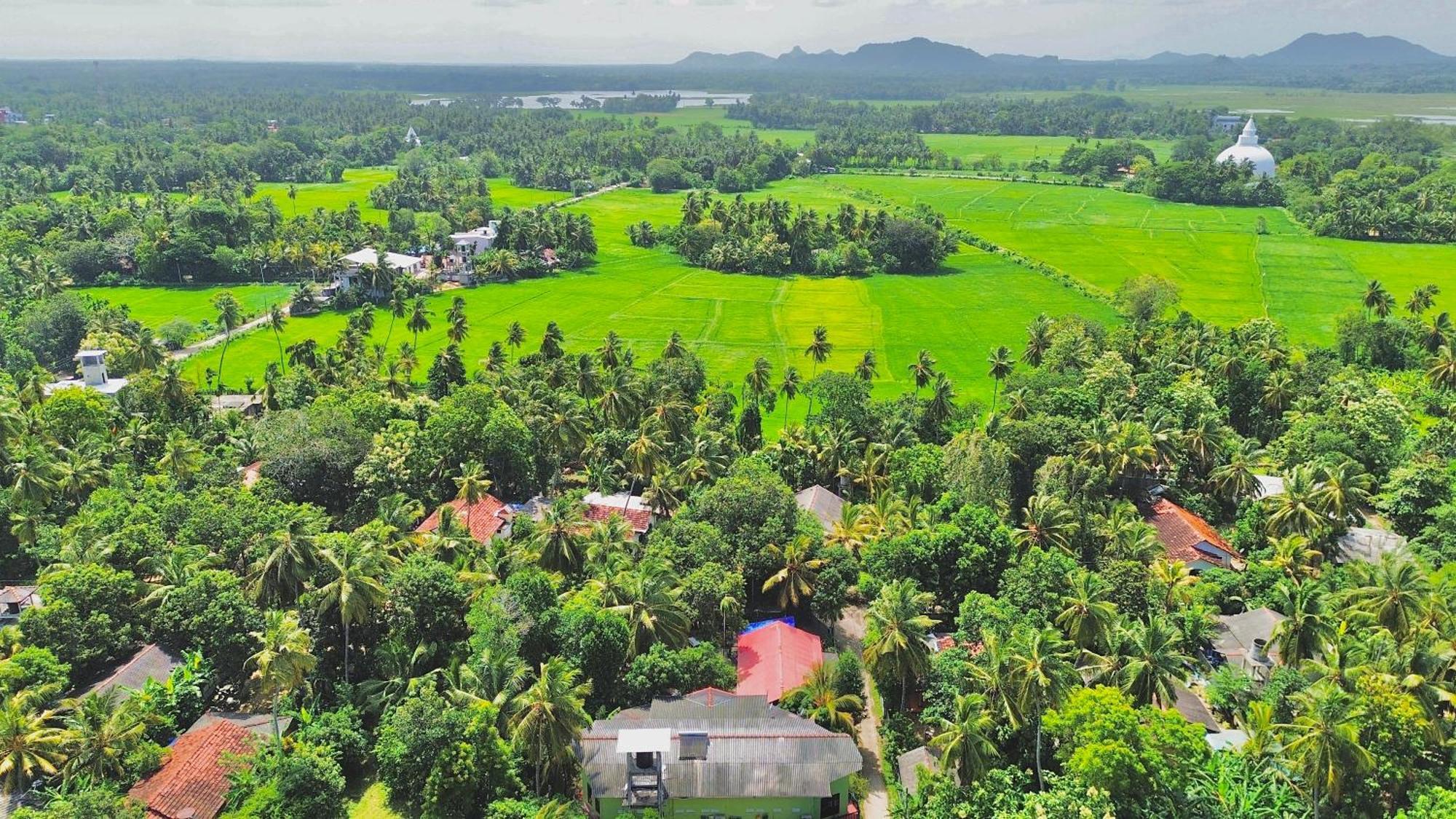 La Safari Inn Tissamaharama Dış mekan fotoğraf